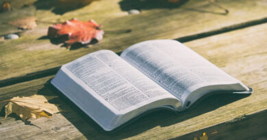 All scripture is given by inspiration of God – 2 Timothy 3:16-17 All scripture is given by inspiration of God – 2 Timothy 3:16-17